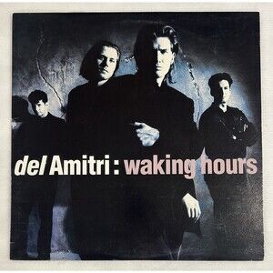 DEL AMITRI - Waking Hours (1989 SP-5287 Stereo) Vinyl LP Record. EXCELLENT Rare!